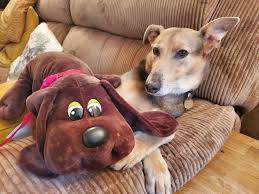 #pound puppy #pound puppies #dog #dogs #stuffed animals #nostalgia #nostalgic #kidcore #kiddiecore #toys #toycore #plushes #agere #sfw agere #hlvrai #half life but the ai is self aware #dr bubby #benry benrey #pound puppies #jess scribbles #benrey is only dog shaped. Pound Puppies Plush Review Vintage Pups Are Back For 2020