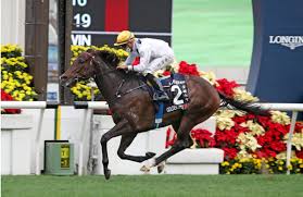 Magic millions classic 2021 is one of the first major races of the year. Magic Millions To Offer Golden Sixty Half Sister In January Breednet