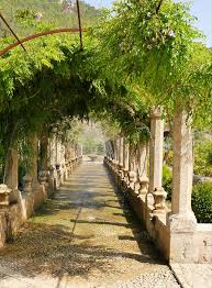 Bei diesem weitläufig angelegten areal handelt es sich um den größten botanischen garten europas. Spanien Mallorca Soller Kostenloses Foto Auf Pixabay