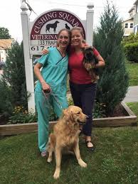 Belmont shores is close to a dog park and dog beach. Meet The Staff Of Cushing Square Vet Clinic Veterinarian In Belmont Ma Cushing Square Veterinary Clinic