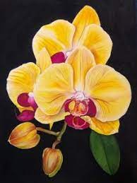 These are great alternatives for use on balconies and. Yellow Orchids Watercolors On 300 Lb Watercolor Paper Orchid Painting Flower Painting Canvas Floral Watercolor Paintings