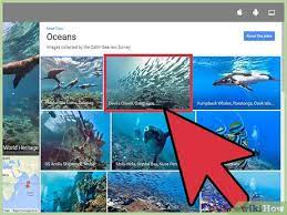 · google's underwater maps show coral reefs, stunning sea life views (photos, video) by britney fitzgerald while apple can't seem to map the google maps' street view can also be used to explore the world's oceans and dive underwater without leaving your seat. How To Go Underwater In Google Maps 10 Steps With Pictures
