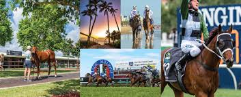 Make mindful health a habit © 2021 walmart. Gold Coast Carnival Dates Announced For 2021 2024 Magic Millions