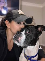 Tribute to Billie, a beloved Basset Hound