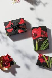 Mpp Franchise Holiday Gift Guide Aveda Gifts Travel Size Beauty Products Holiday Gift Sets