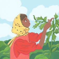 Madison Moore - Skillshare