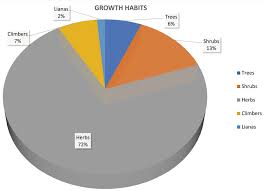 Image result for Diaphananthe sarcophylla