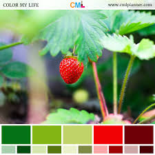 Very Berry Color My Life Strawberry Color Nature Color Palette Color Palette Bright