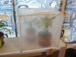 See more ideas about greenhouse, diy greenhouse, greenhouse plans. 15 Diy Mini Indoor Greenhouse Ideas For Winter Early Spring Balcony Garden Web Indoor Greenhouse Greenhouse Projects Diy Greenhouse