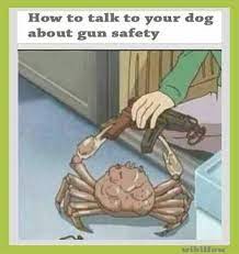 Have a good time going through these dog memes! Dopl3r Com Memes How To Talk To Your Dog About Gun Safety Wikiiow Tafe