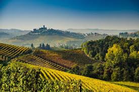 Che cosa vedere tra Langhe, Roero e Monferrato