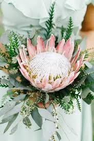 We are happy to accept flower delivery corpus as our exclusive member in the category of flowers for the city of corpus christi. 21 Sundae Val 2019 Ideas Flowers Beautiful Flowers Wedding Flowers