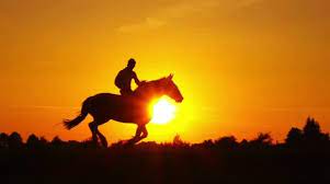 Which is not at all surprising given the 70 or so years he'd spent horseback, and then not horseback because a horse decided jack belonged on the ground instead. Cowboy Riding On Hourse Galloping On Sun Stock Video Pond5