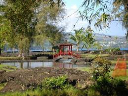 Japanese Garden On Hilo Hawaii Bay Photo By Thomas Taylor National Geographic Your Shot Japanese Garden Hawaii National Geographic