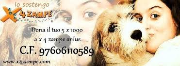 QUESTA È SHINA 💔 GRAN PEZZO DI CUORE 🥹 NON CI POSSO PENSARE CHE ENTRERAI  AL DEFINITIVO PER SEMPRE 💔 ERI COSÌ FELICE TRA LE TUE MONTAGNE..😔 MA  PURTROPPO TUTTO È FINITO..😪