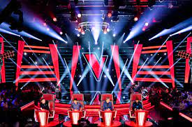 Deze 12 zijn al helemaal klaar voor de liveshows van the voice van vlaanderen. The Voice Van Vlaanderen Arfyes