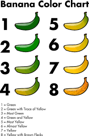 Banana Peel Clipart Banana Food Transparent Clip Art