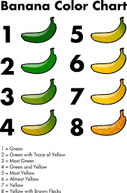 banana peel clipart banana food transparent clip art