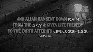 Islam beliefs islam religion islam muslim islamic images islamic pictures beautiful love images good morning gif morning dua rose trees. Islamic Good Morning Dua Gif