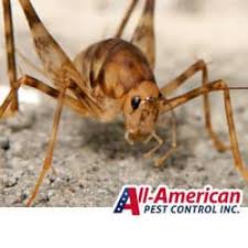 Keep plants away from the house. Camel Crickets Move In On Tennessee Residents