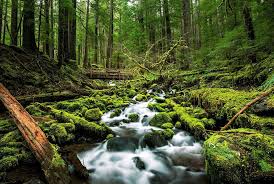 3840x2400 best hd wallpapers of nature, 4k ultra hd 16:10 desktop backgrounds for pc & mac, laptop, tablet, mobile phone. Listening To Nature Gives You A Real Rocky Mountain High Science Smithsonian Magazine