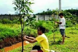 Hormati Hak Orang Lain Orang Pintar Itu Ada Karena Ada Orang Goblok Halaman All Kompasiana Com
