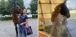 In 2013 henrik picked up his first lgct grand prix win in cascais, estoril on gotha frh in style! Two Thirds Of Swedish Show Jumping Team Will Be Shoeless At Tokyo Olympic Games The Plaid Horse Magazine