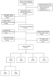 Oncotarget Prognostic Significance Of The Size And Number