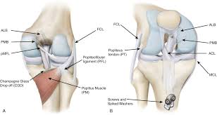 Image result for PCL Sulcus Test