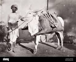 Bhisti hi-res stock photography and ...