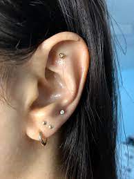 Earlobe Setup Reddit Ear Piercings Nose Ring Piercings