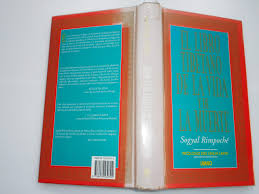 Sinopsis del libro entre la vida y la muerte. El Libro Tibetano De La Vida Y De La Muerte Crecimiento Personal Amazon Es Rinpoche Sogyal Libros