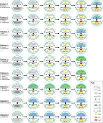 Image result for Urochloa xantholeuca