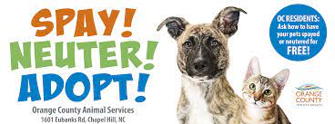If there are no projects currently in your area or you don't meet the criteria for free services, but you have dogs or cats you want to get spay/neutered, and you need a low cost option, check below for low cost options. Spay Neuter Orange County Nc
