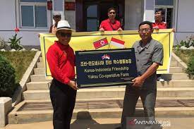 Check spelling or type a new query. Kbri Pyongyang Bantu Koperasi Petani Di Korea Utara Antara News