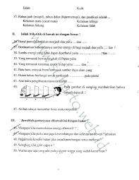 Mengapa kita perlu menjaga keseimbangan dan kelestarian hewan jelaskan. Selamat Datang Di Web Sunarto S Kom