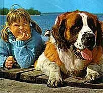 Saltkråkan är en idyllisk ö i den svenska skärgården, där det vanligtvis finns lugn och ro. Vi Pa Saltkrakan Barndomsminner Barne Tv Dogs