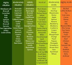 Food Consistency Chart Google Search Ph Balance Diet