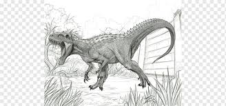 How to draw indominus rex from jurassic world, step by step, drawing guide, by dawn. Tyrannosaurus Drawing Indominus Rex Jurassic Park Indominus Tyrannosaurus Fauna Terrestrial Animal Png Pngwing