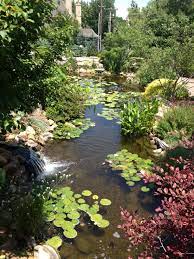 Koi Pond Garden Water Feature Pond Water Features Zen Garden Backyard