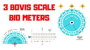 Bovis Scales
