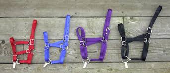 wxicof donkey halters