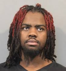 Gallery: Recent arrests booked into Lake County Jail