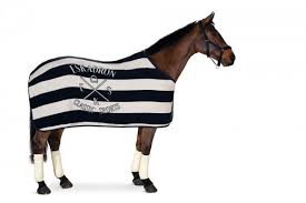 Découvrez toutes les tendances et modes équestres sur horsealot fashion ! Eskadron Abschwitzdecke Dralon Stripe Cs Fs19 Reitsport Lintado