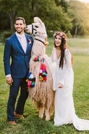 Whimsical Llama Wedding With Lots Of Diy Ruffled Wedding Pets Boho Wedding Bride