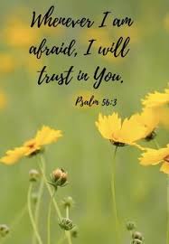 A.v pastor lucas sekar is available to minister in your revival or special meetings. Parimala Daisy Daisyparimala34 Profile Pinterest