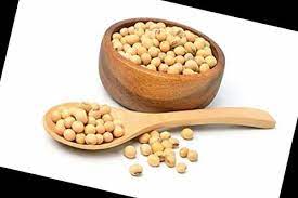 Soybean Seeds, Packaging Type: Bag, Packaging Size: 30 Kg at ₹ 110/kg in  Washim