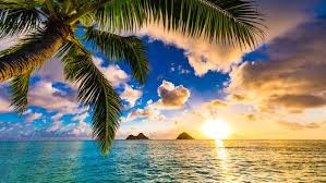 Hawaiidiscount.com is the home of the lowest prices for any hawaii activity, hawaii attraction or hawaii tour on the internet. Hawaii Travel Guide And Latest News Travelpulse