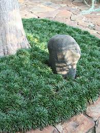 Mondo Grass In Florida Google Search Ground Cover Plants Low Maintenance Garden Landscaping Dwarf Mondo Grass