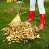Algorithm used to compute the nearest neighbors leaf size passed to balltree or kdtree. Https Encrypted Tbn0 Gstatic Com Images Q Tbn And9gcsxjg3qsfwlrxpq8vffzhs6als4hdnk7uvjcvmhonzuonpxhlwj Usqp Cau